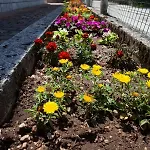 Apartma Lesjak 1 Apartament