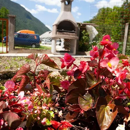 Апартаменты Apartma Lesjak 1