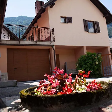 Apartma Lesjak 1
